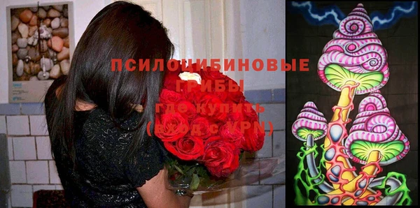 гашик Алексеевка