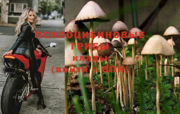 гашиш Алексин