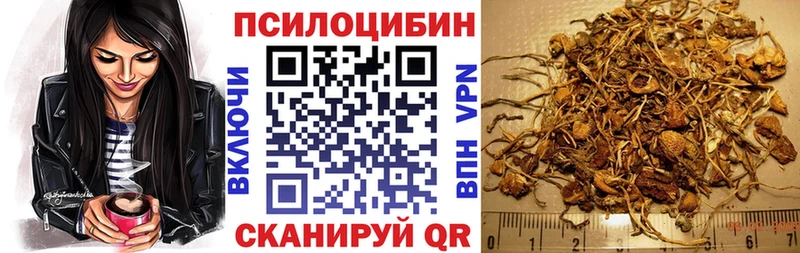 МЕГА маркетплейс  дарнет шоп  Данилов  Псилоцибиновые грибы мицелий 
